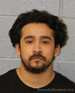 Mugshot of GUSTAVO AVALOS