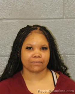 Mugshot of ERICA LASHAY NESBIT