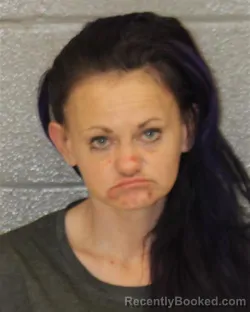 Mugshot of KORI JAYNELL WILSON