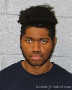 Mugshot of JAMARION YOUNG