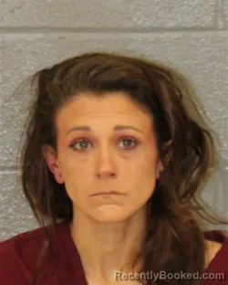 Mugshot of ANDREA LYNN HOLLAND