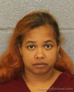 Mugshot of TIFFANY MICHELLE LONG