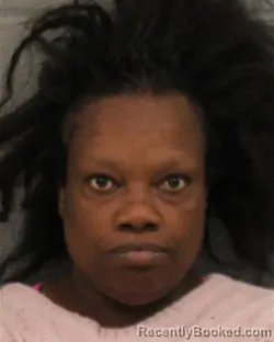 Mugshot of RHONETTA DENISE JOHNSON