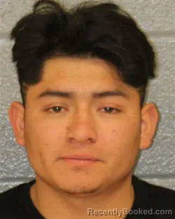 Mugshot of RICARDO MARTINEZ