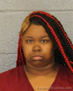 Mugshot of NEVAEH WILKINS