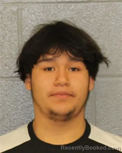 Mugshot of DENNIS ALEXIS-MEJIA ROMERO