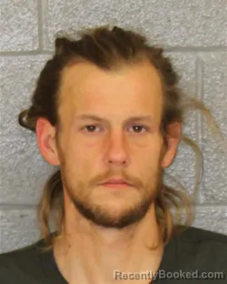 Mugshot of RYAN JOSEPH LIEWALD