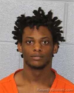 Mugshot of LATAVIUS MCVAY