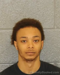 Mugshot of CAM'RON EUGENE WEBB