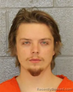 Mugshot of DAVID WADE WILKES