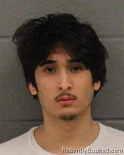 Mugshot of NINOANGELO TYLER DONGUINES