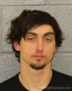 Mugshot of DYLAN TYLER CHAPMAN