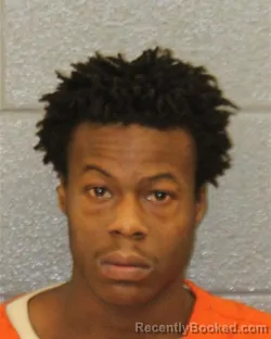 Mugshot of NAUTYCUS OCEAN LOCKET