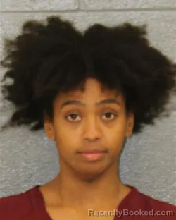 Mugshot of AIMEE ASHLEY DORCELY