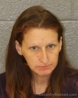 Mugshot of ASHLEY ELIZABETH SHEYDA