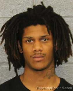 Mugshot of RYAN O'NEAL ROBINSON