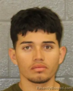 Mugshot of NERLN PINEFA PONCE