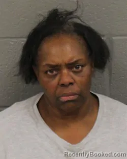 Mugshot of RENEE SHERILEEN LUDVIG