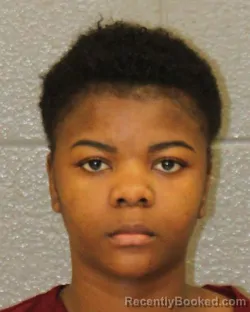 Mugshot of SERGINE FANFAN