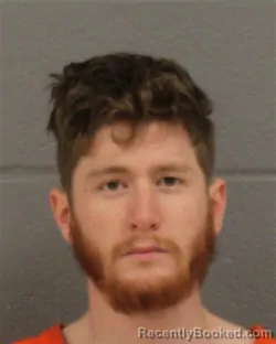 Mugshot of DAVID WILLIAM FAIR