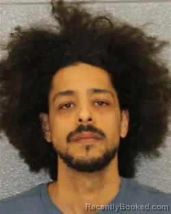 Mugshot of LUIS GERARDO AVILA