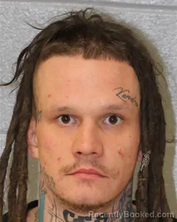 Mugshot of HARRISON CONNOR HILLMAN