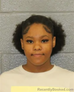 Mugshot of ANIJAH LASHAY HAMILTON