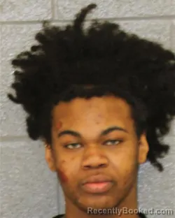 Mugshot of NAPOLEAN AARON DAVIS