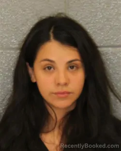 Mugshot of ANA MARIA TORRES-ESTRADA