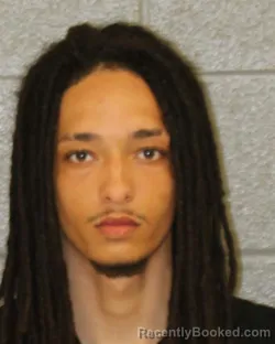 Mugshot of SHILON MCRAE BURLESON