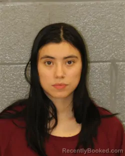 Mugshot of ANA NOVELLA GOLDBERG
