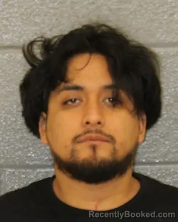 Mugshot of ANDY RENDON