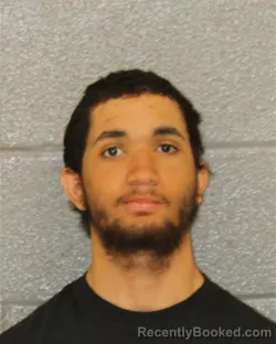 Mugshot of LEWIS CAPERS