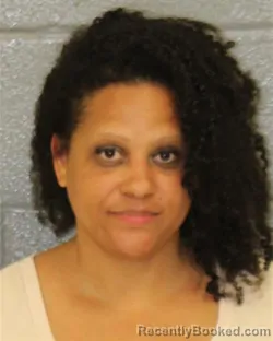 Mugshot of SHERRY MICHELE JENKINS