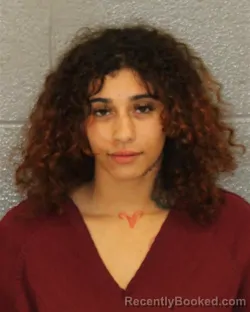 Mugshot of RAYNA MICHELLE DULA booked in Mecklenburg County, North Carolina on March 21, 2026