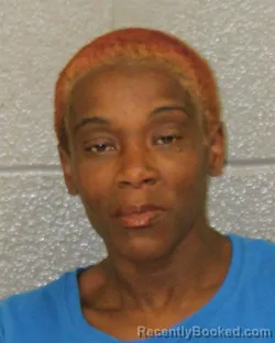 Mugshot of ANASTASIA ORIEL-DEBORAH FRAZIER booked in Mecklenburg County, North Carolina on March 22, 2026