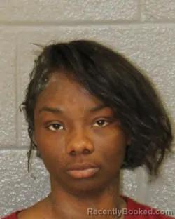 Mugshot of SHEKAMRON DIGGS booked in Mecklenburg County, North Carolina on March 23, 2026