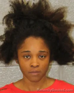 Mugshot of SHAMIYLA MCNEIL booked in Mecklenburg County, North Carolina on March 24, 2026