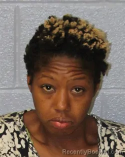 Mugshot of SASHA MARIE JOHNSON booked in Mecklenburg County, North Carolina on March 24, 2026