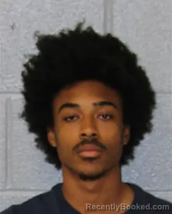 Mugshot of BRACH CHARMAIN WALKER booked in Mecklenburg County, North Carolina on March 24, 2026