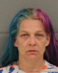 Mugshot of BRANDY LEIGH HOLLAND booked in Mecklenburg County, North Carolina on March 24, 2026