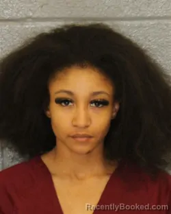 Mugshot of ANJIL CEON LANE-ALLEN booked in Mecklenburg County, North Carolina on March 24, 2026