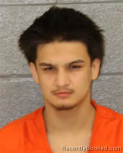 Mugshot of ANTHONY CHRIS CELIS booked in Mecklenburg County, North Carolina on March 25, 2026