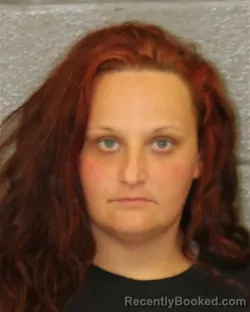 Mugshot of JAMIE LEE FAY booked in Mecklenburg County, North Carolina on March 25, 2026