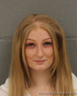 Mugshot of ASHLEY GRAHAM GRIBBLE booked in Mecklenburg County, North Carolina on March 26, 2026