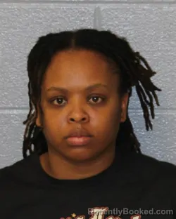 Mugshot of PASCHEN MONE LOWERY booked in Mecklenburg County, North Carolina on March 27, 2026