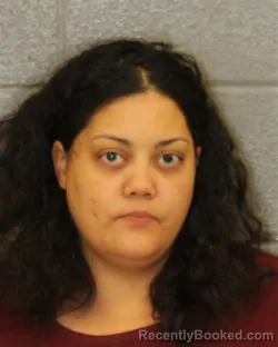 Mugshot of ROCHELLE MONIQUE DEVONNE-ENGLISH booked in Mecklenburg County, North Carolina on March 27, 2026