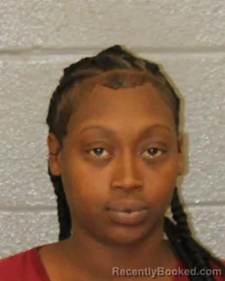 Mugshot of BROOKLYN SELENA ADAMS booked in Mecklenburg County, North Carolina on March 28, 2026