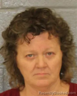 Mugshot of LISA SUZETTE HERNANDEZ booked in Mecklenburg County, North Carolina on March 28, 2026