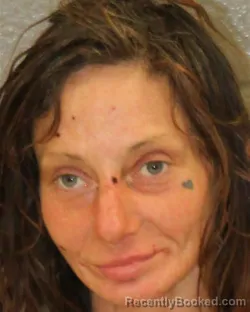 Mugshot of MARQUEE VICTORIA BELYEW booked in Mecklenburg County, North Carolina on March 28, 2026